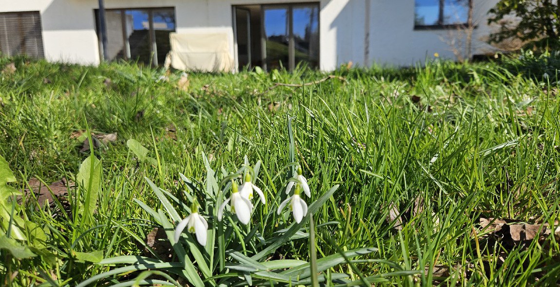 Kirchgemeinde Hausen-Mettmenstetten