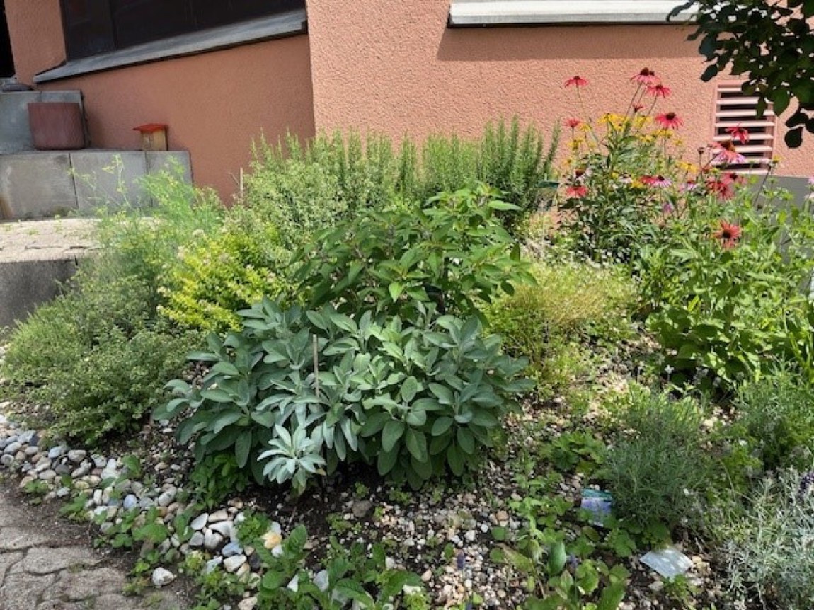 Kirchgemeinde Hausen-Mettmenstetten