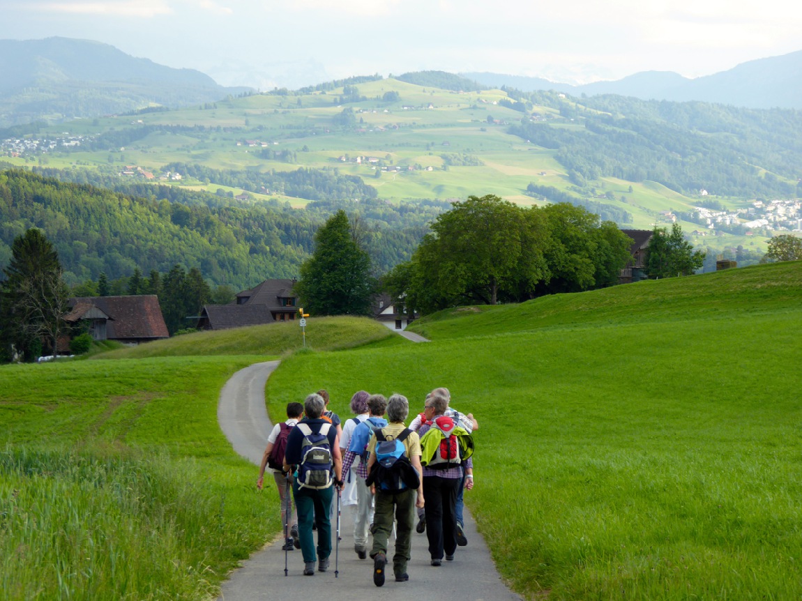 Gubelwanderung 2015