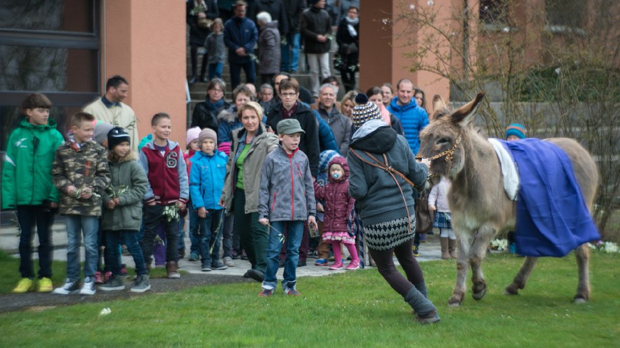 Palmsonntag 2015