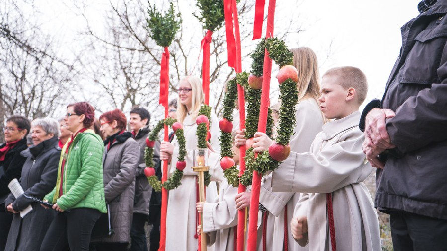 Palmsonntag 2016