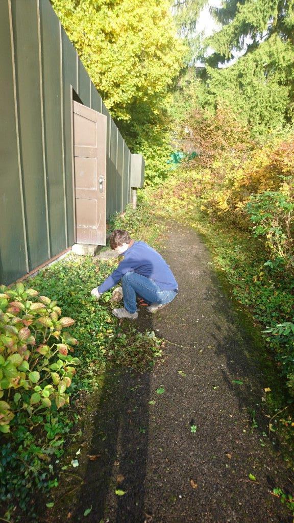 Unser Garten