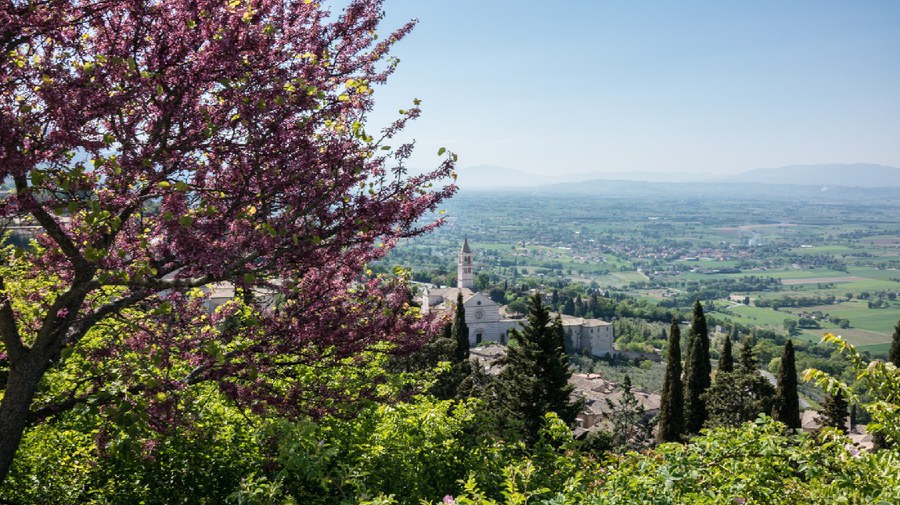 Assisi 2017