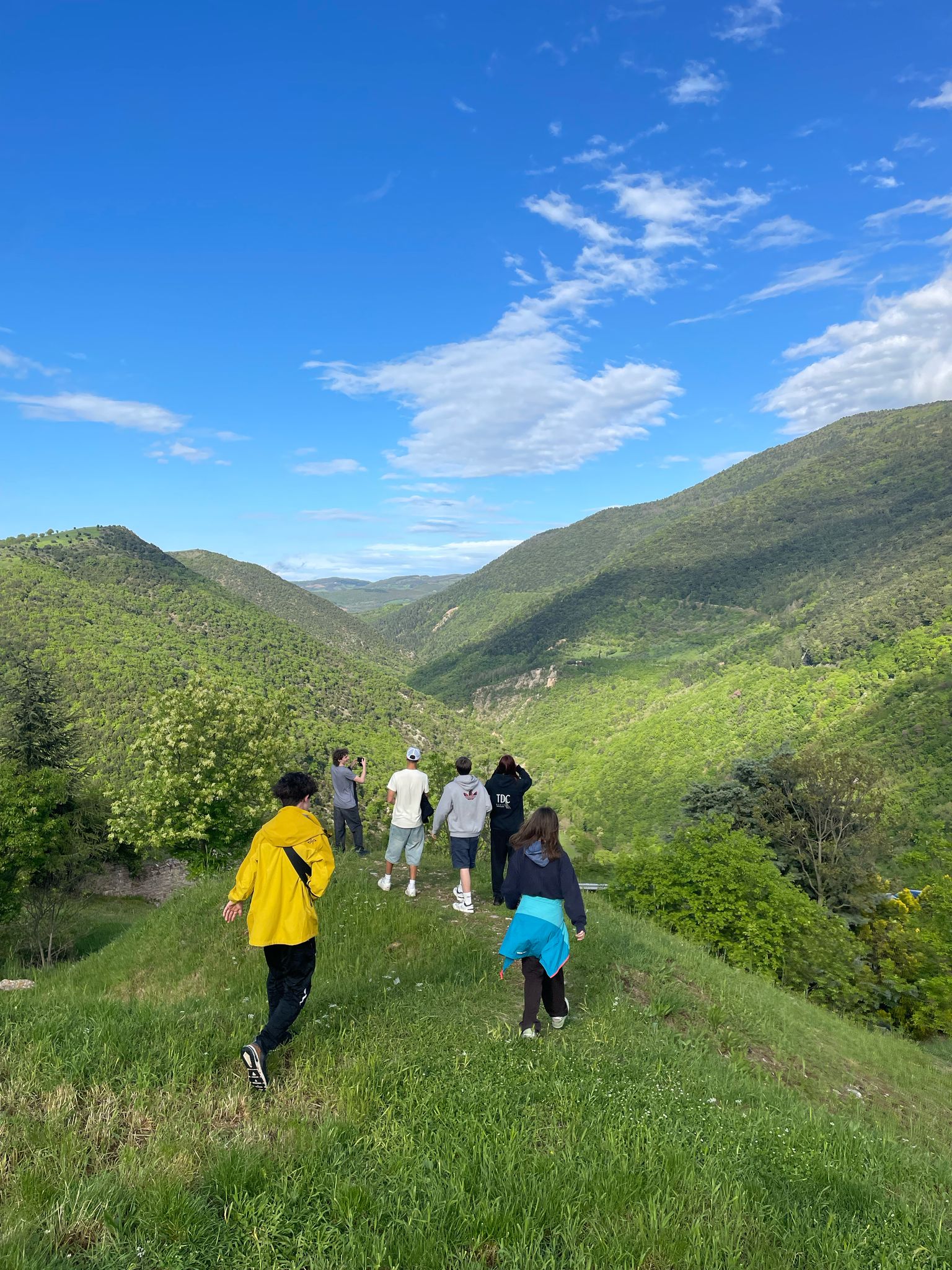 Auf dem Hügel o.G..jpg