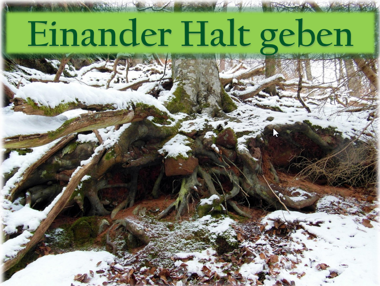 2026-02-27 10_15_16-Wurzelbild_homepage.pdf.png