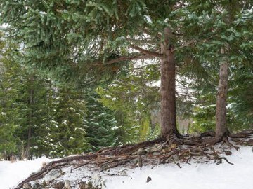 Jahresthema 2026 - Einander Halt geben