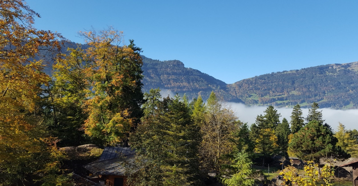 Screenshot 2024-07-12 145353.png