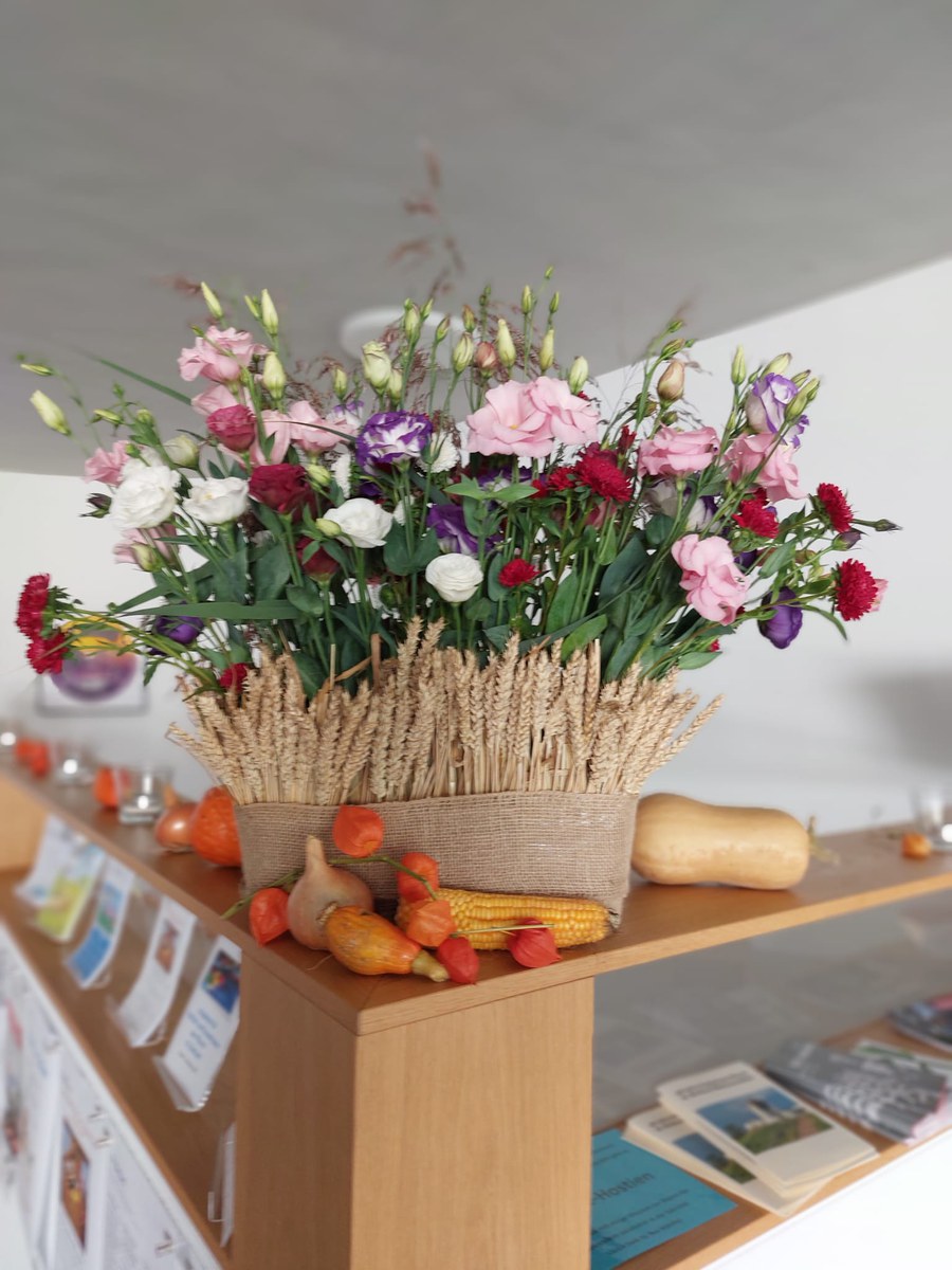 IMG-20250916-WA0009.jpg IMG-20250916-WA0009.jpg