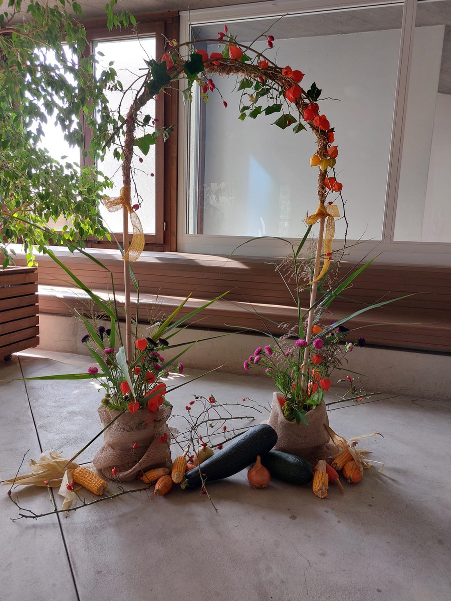 IMG-20250916-WA0015.jpg IMG-20250916-WA0015.jpg